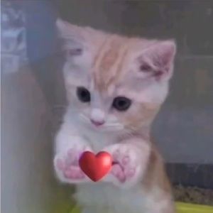 Meet your Posher, Melany